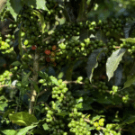 Diseño sin título (14)