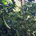 WhatsApp Image 2025-08-11 at 1.35.26 PM (12)