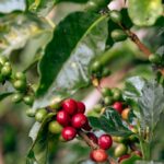 WhatsApp Image 2025-08-11 at 1.35.26 PM (2)