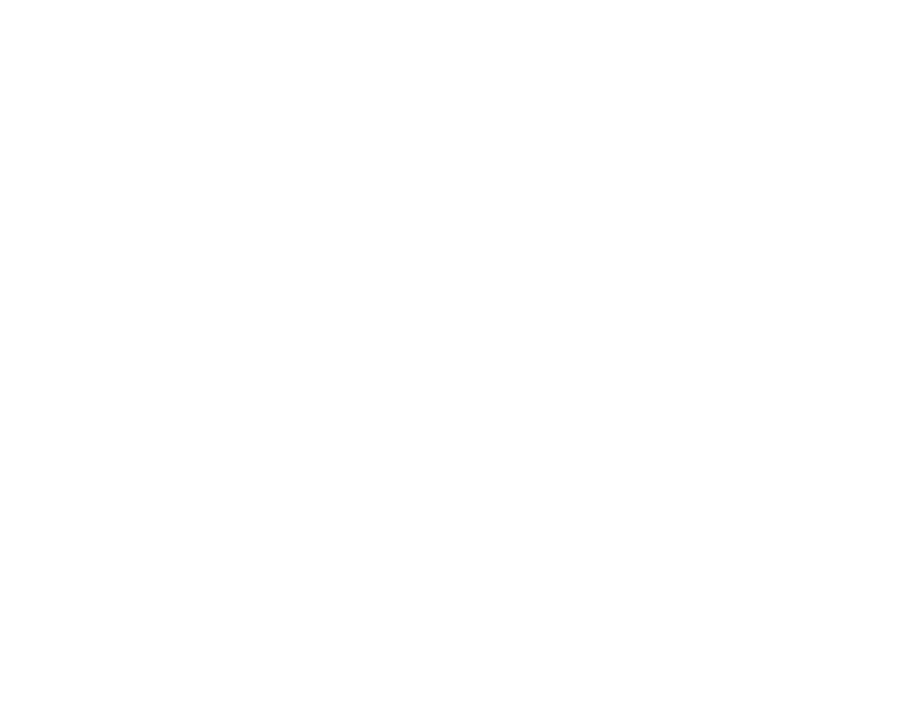 Mountain Coffee Importers
